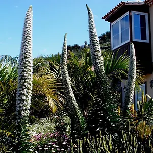 apartamento-mar-y-teide.in-canary-islands.com/